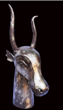 antelope or gazelle head. Rs. 500